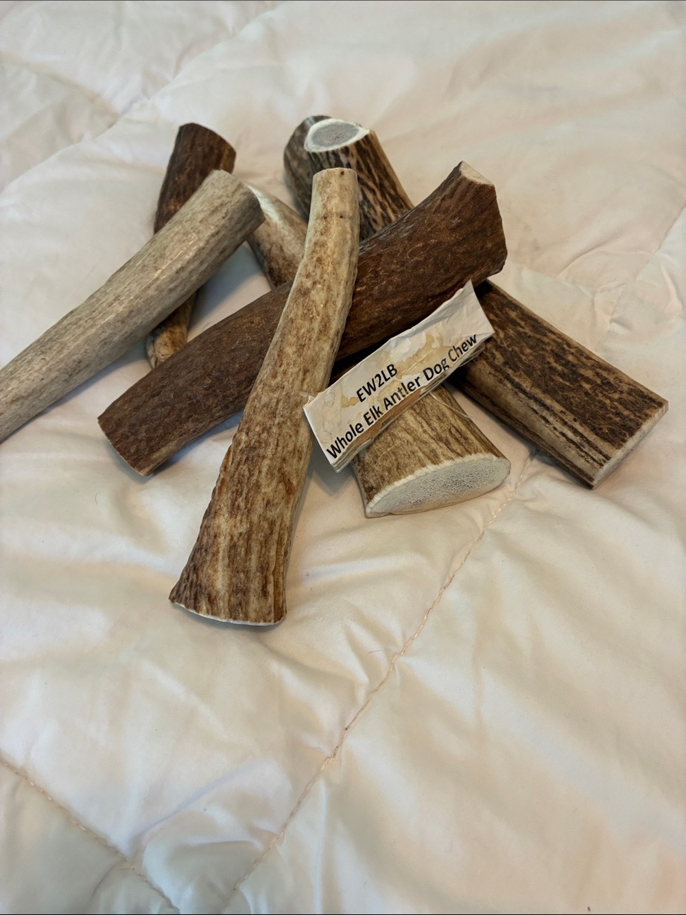 Elk Antler Chew for Dogs - Large - Picture 3 of 4